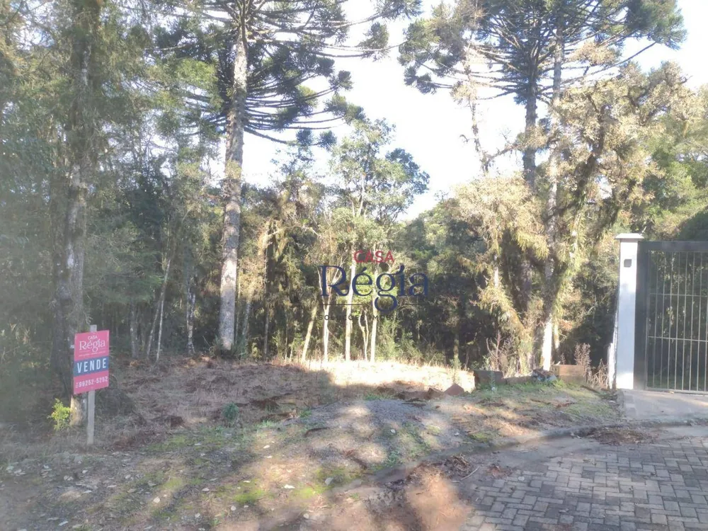 Loteamento e Condomínio, 550 m² - Foto 3