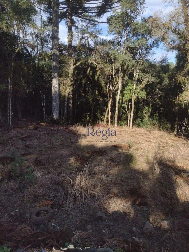 Loteamento e Condomínio, 550 m² - Foto 7