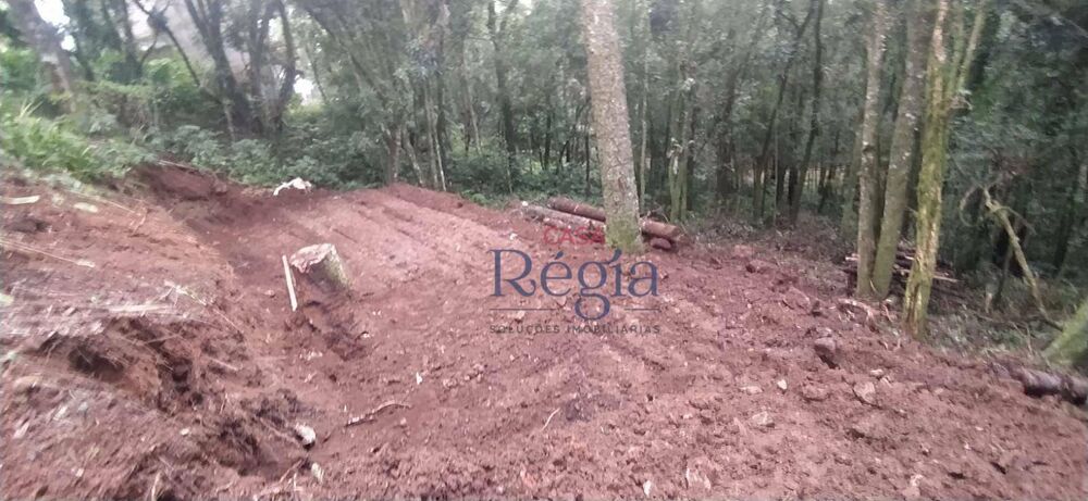 Terreno, 922 m² - Foto 3