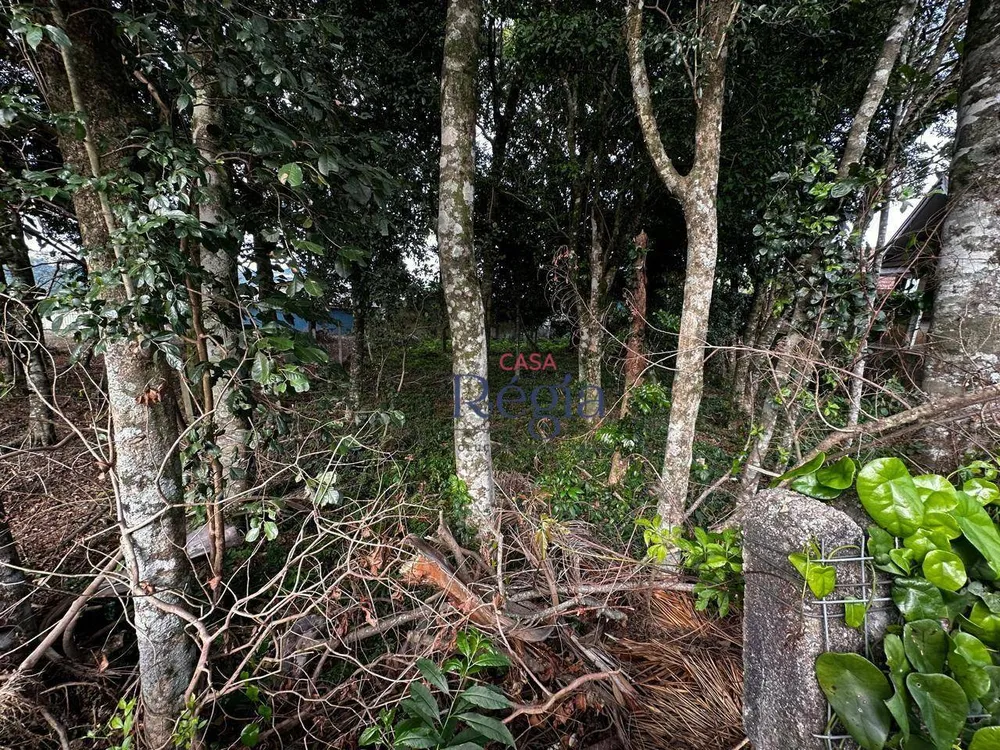 Terreno, 490 m² - Foto 8