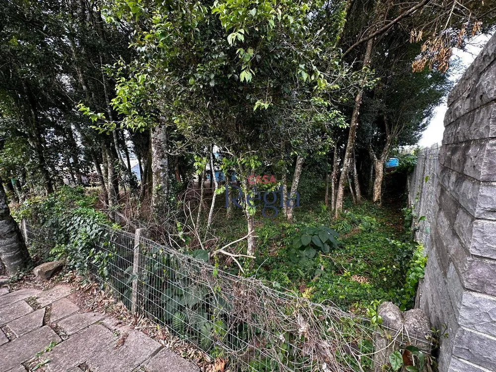 Terreno, 490 m² - Foto 6