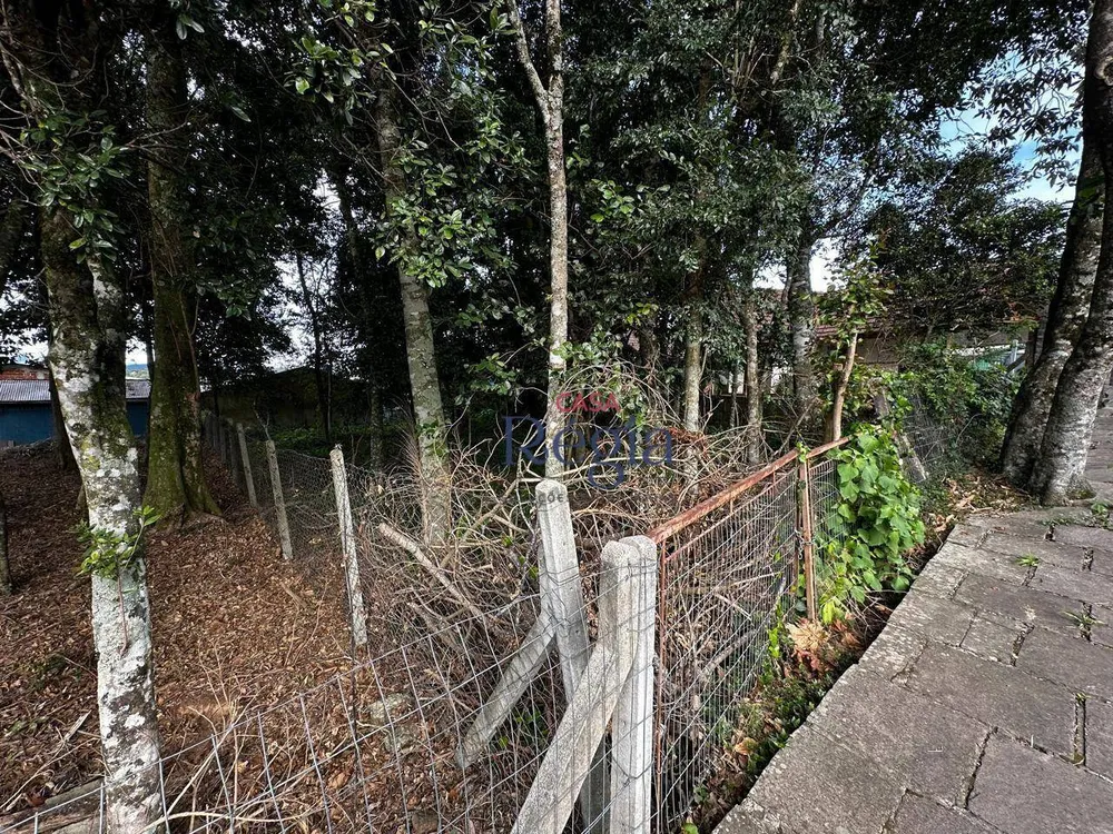 Terreno, 490 m² - Foto 7