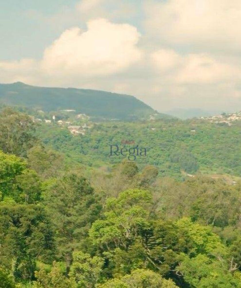 Loteamento e Condomínio, 2500 m² - Foto 1