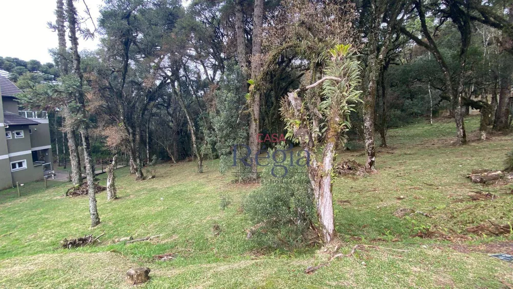 Loteamento e Condomínio à venda, 595M2 - Foto 3