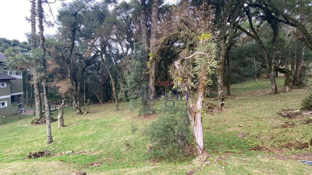 Loteamento e Condomínio à venda, 595M2 - Foto 1