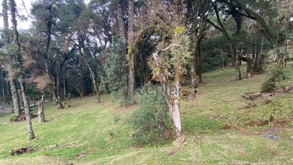 Loteamento e Condomínio à venda, 595M2 - Foto 4