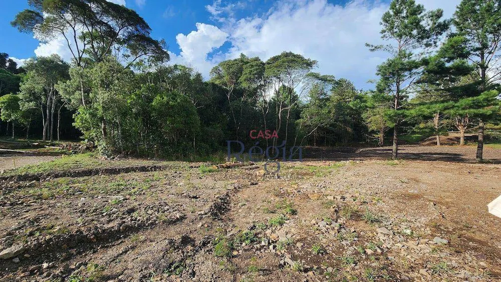 Loteamento e Condomínio, 4338 m² - Foto 8