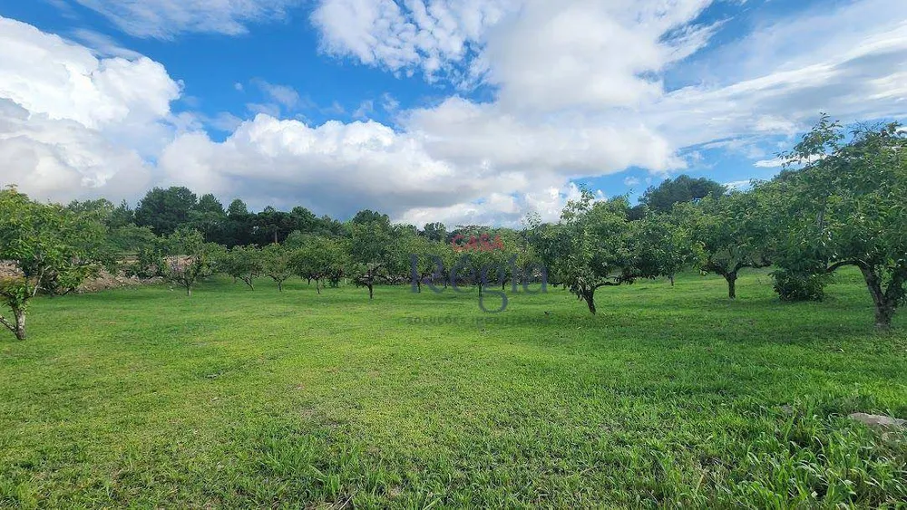 Loteamento e Condomínio, 4338 m² - Foto 10