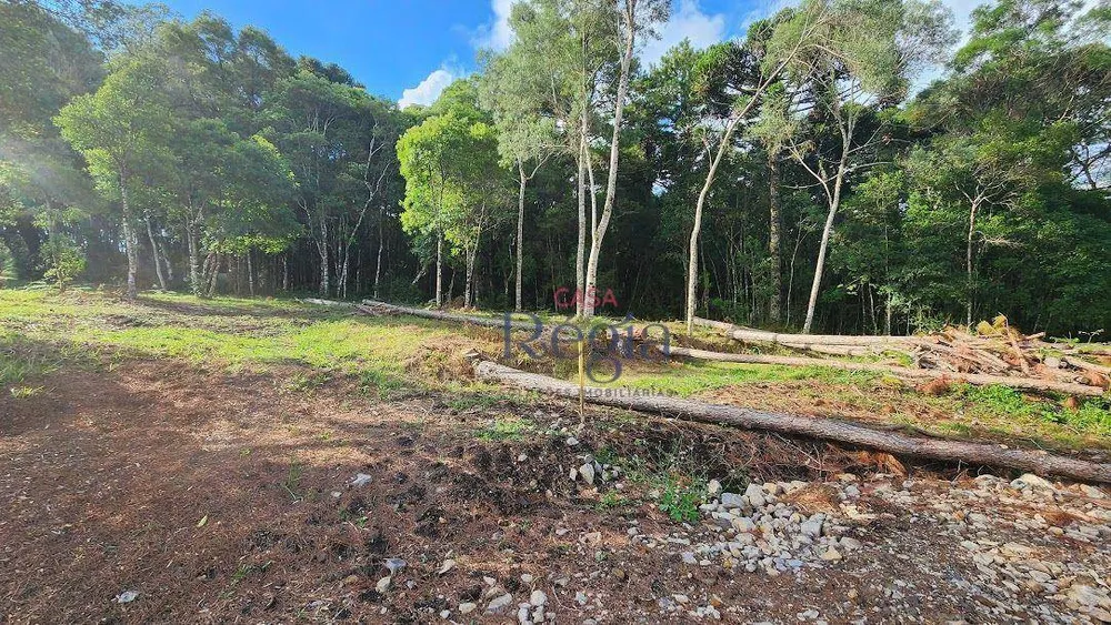 Loteamento e Condomínio, 4338 m² - Foto 5