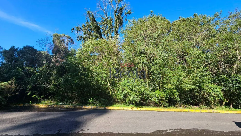Terreno, 2912 m² - Foto 10
