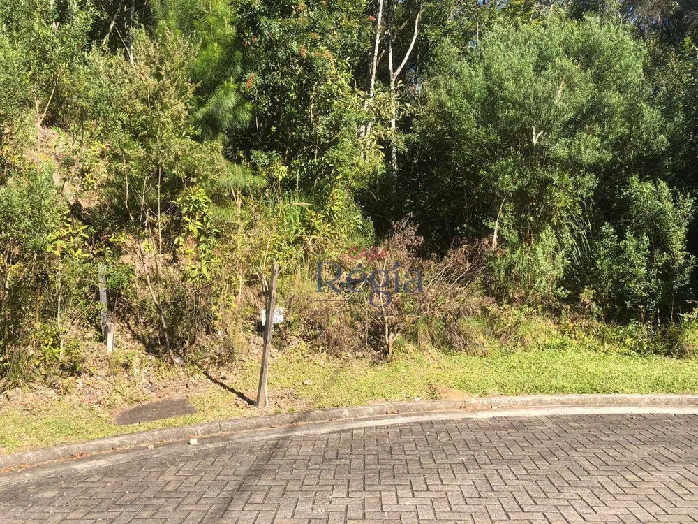 Loteamento e Condomínio, 730 m² - Foto 3