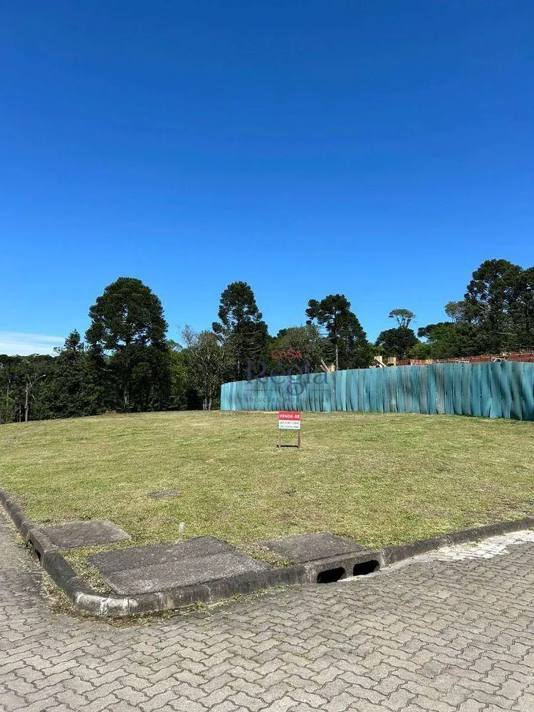 Loteamento e Condomínio, 480 m² - Foto 1