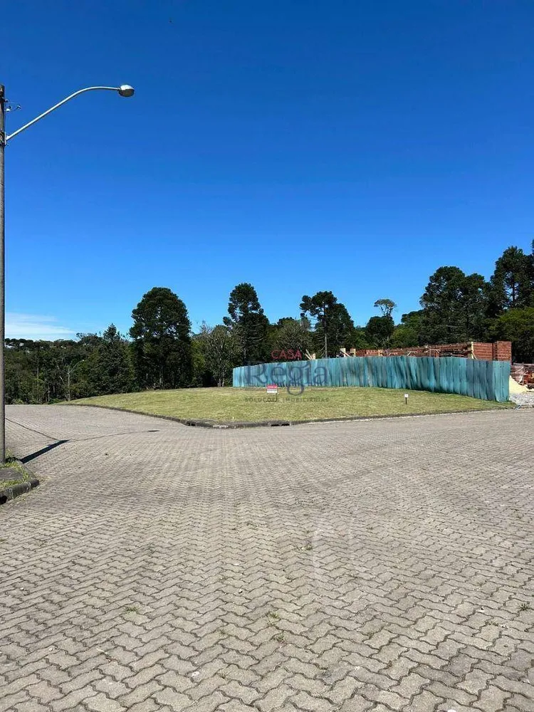 Loteamento e Condomínio, 480 m² - Foto 4