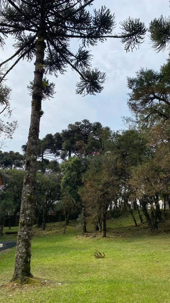 Loteamento e Condomínio à venda, 739M2 - Foto 10