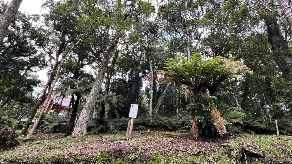 Loteamento e Condomínio, 1024 m² - Foto 2