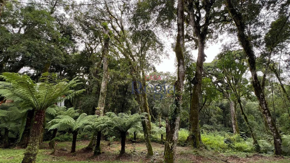 Loteamento e Condomínio, 1024 m² - Foto 7