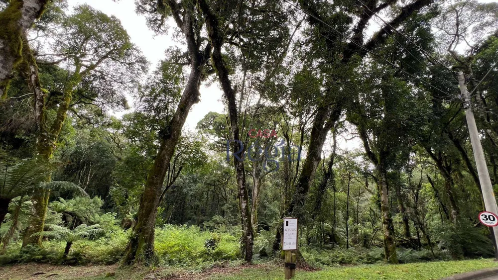 Loteamento e Condomínio, 1024 m² - Foto 6