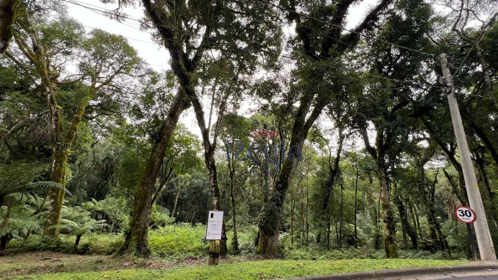 Loteamento e Condomínio, 1024 m² - Foto 5