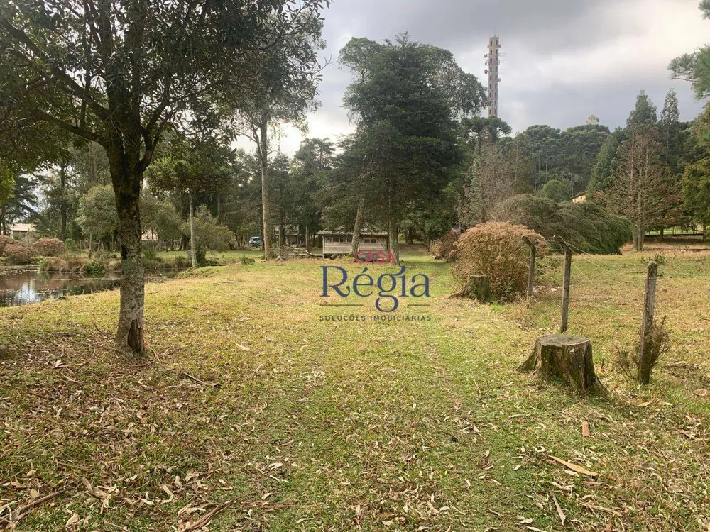 Terreno, 6609 m² - Foto 10