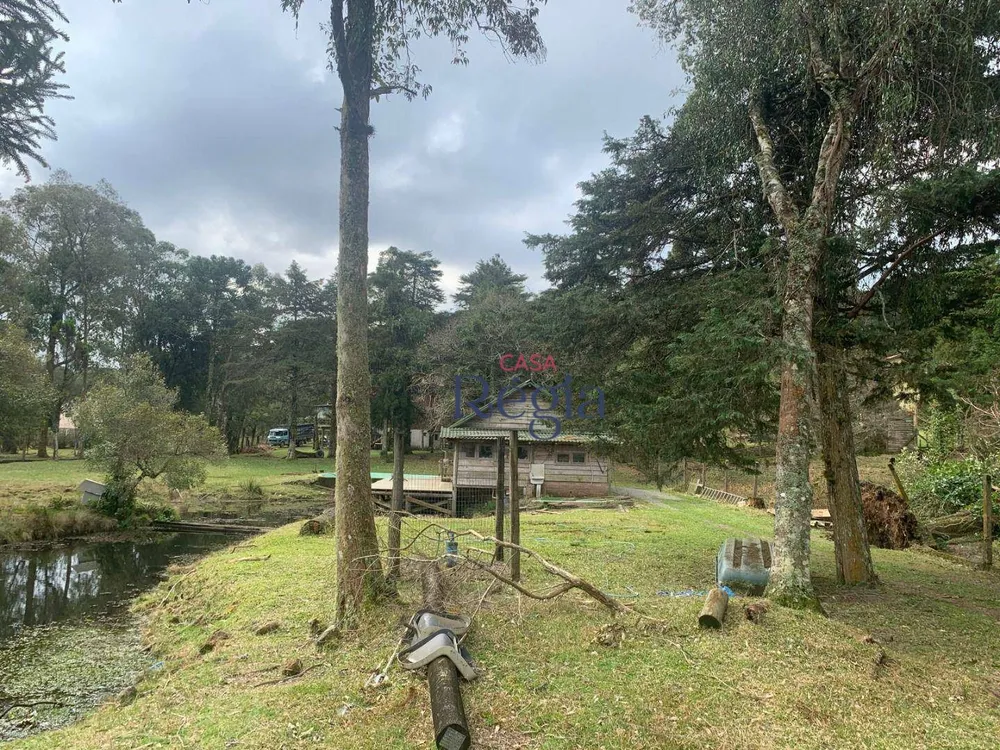 Terreno, 6609 m² - Foto 11