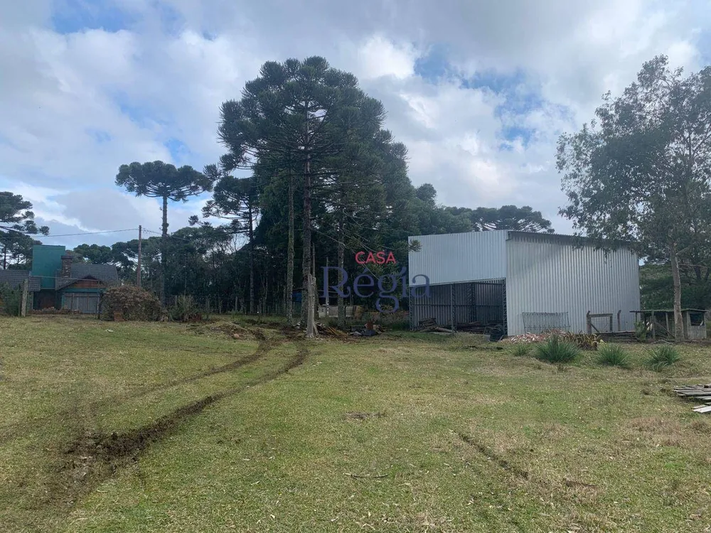 Terreno, 6609 m² - Foto 14