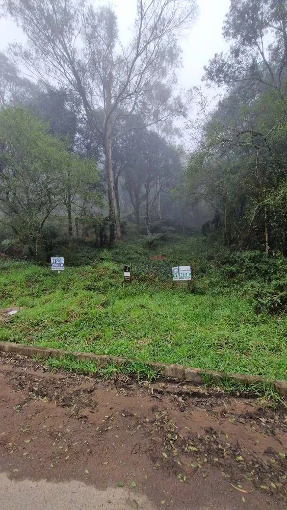 Terreno à venda, 612M2 - Foto 11