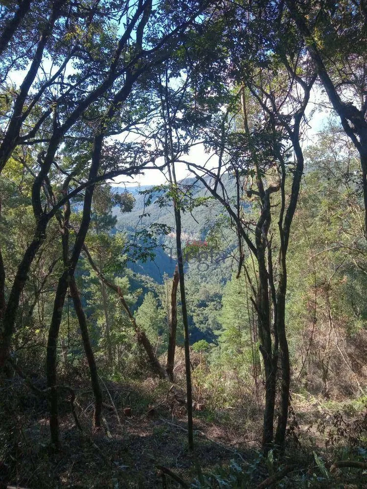 Sítio, 1 quarto, 3 hectares - Foto 6