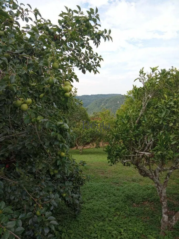 Sítio, 1 quarto, 3 hectares - Foto 12