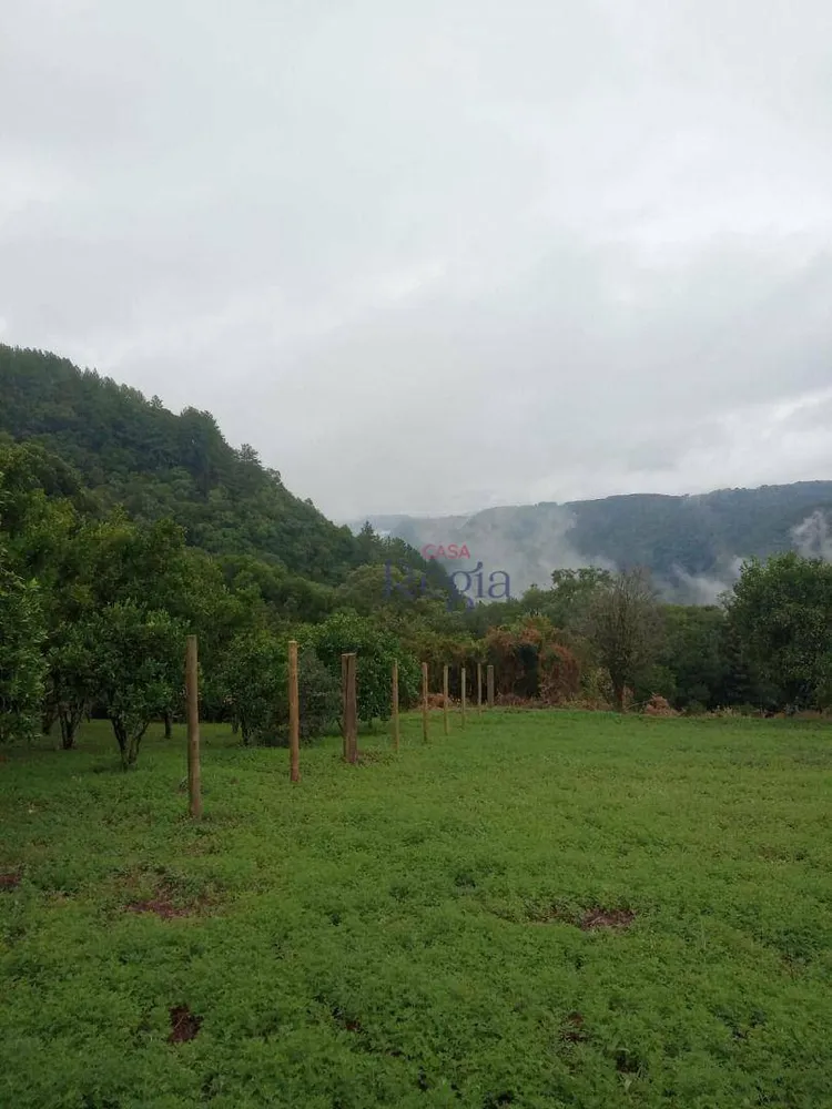 Sítio, 1 quarto, 3 hectares - Foto 11