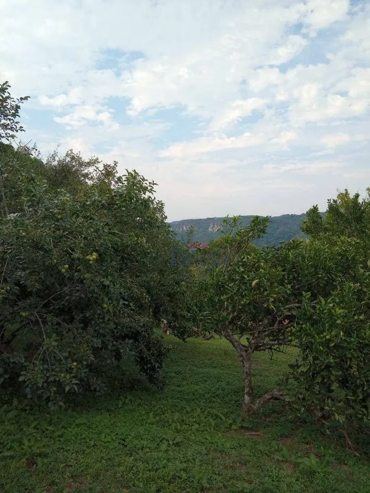 Sítio, 1 quarto, 3 hectares - Foto 15