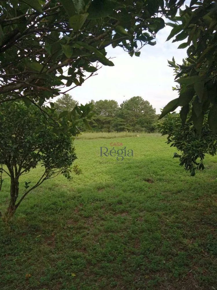 Sítio, 1 quarto, 3 hectares - Foto 10