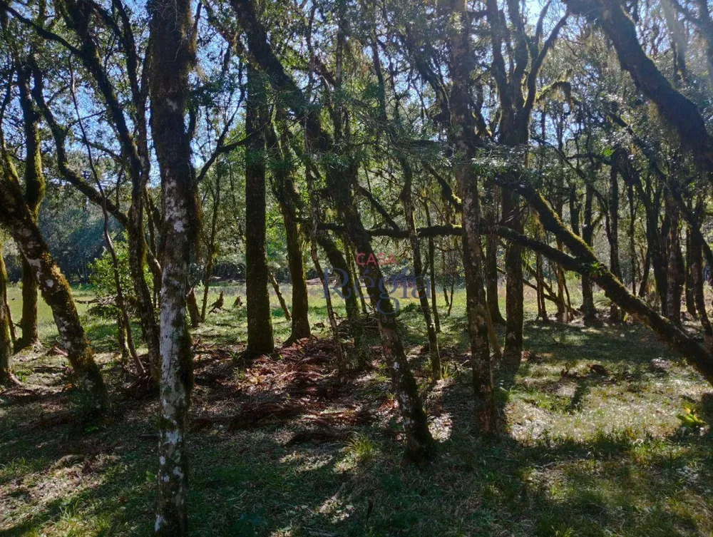 Loteamento e Condomínio, 931 m² - Foto 3