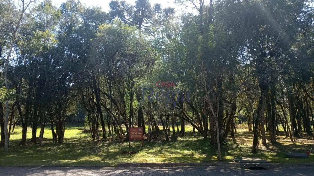 Loteamento e Condomínio, 931 m² - Foto 2