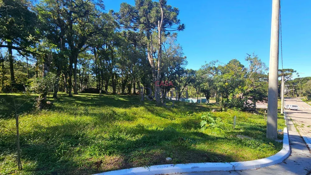 Loteamento e Condomínio, 421 m² - Foto 6