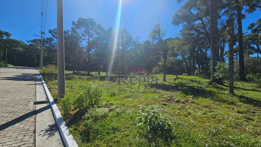 Loteamento e Condomínio, 421 m² - Foto 9