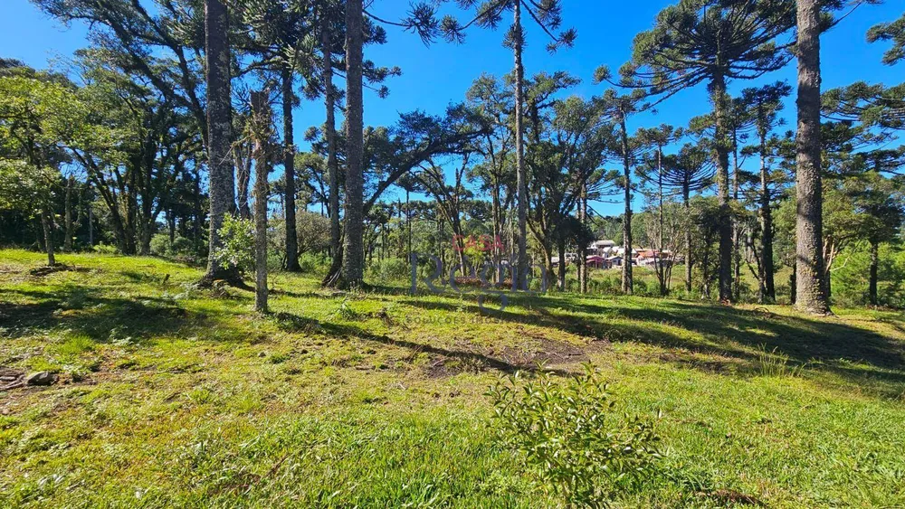 Loteamento e Condomínio, 421 m² - Foto 10