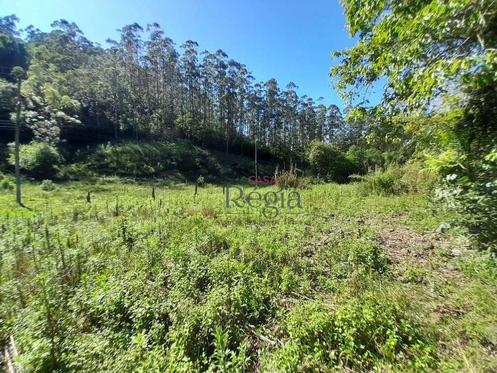 Terreno, 2000 m² - Foto 10