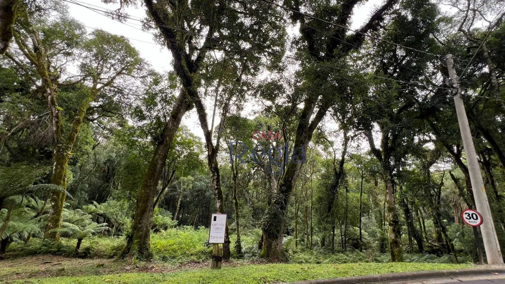 Loteamento e Condomínio, 1093 m² - Foto 3