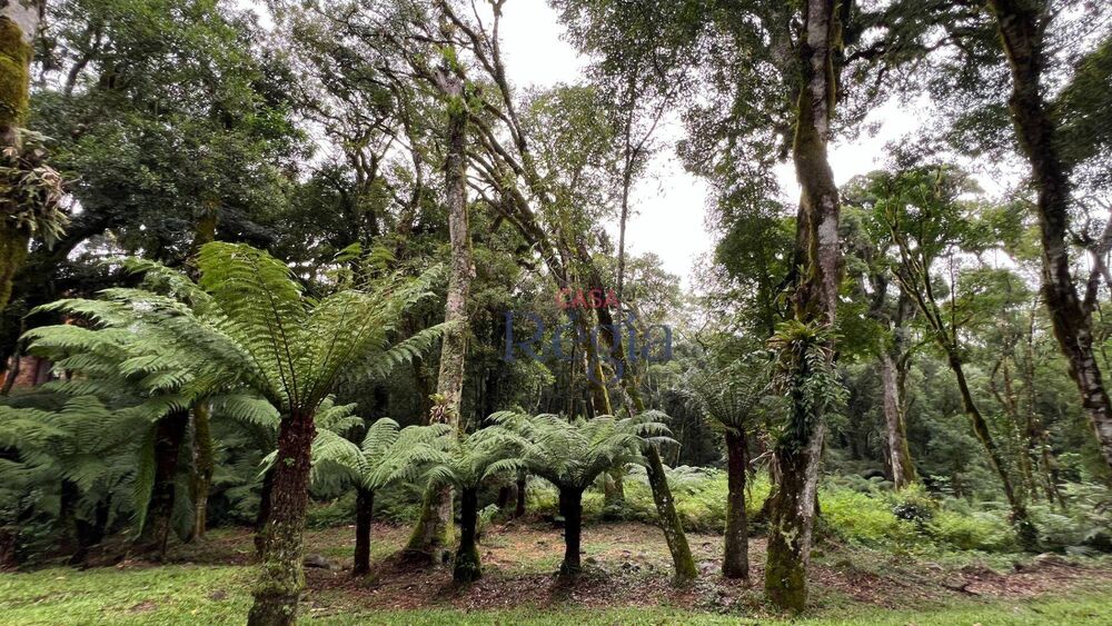 Loteamento e Condomínio, 1093 m² - Foto 1