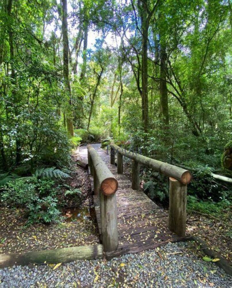 Loteamento e Condomínio, 1093 m² - Foto 4