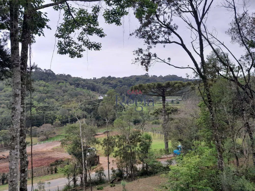 Terreno, 7 hectares - Foto 9