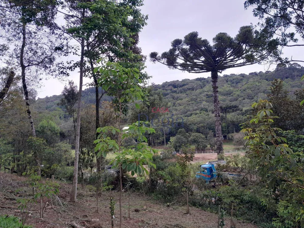 Terreno, 7 hectares - Foto 10
