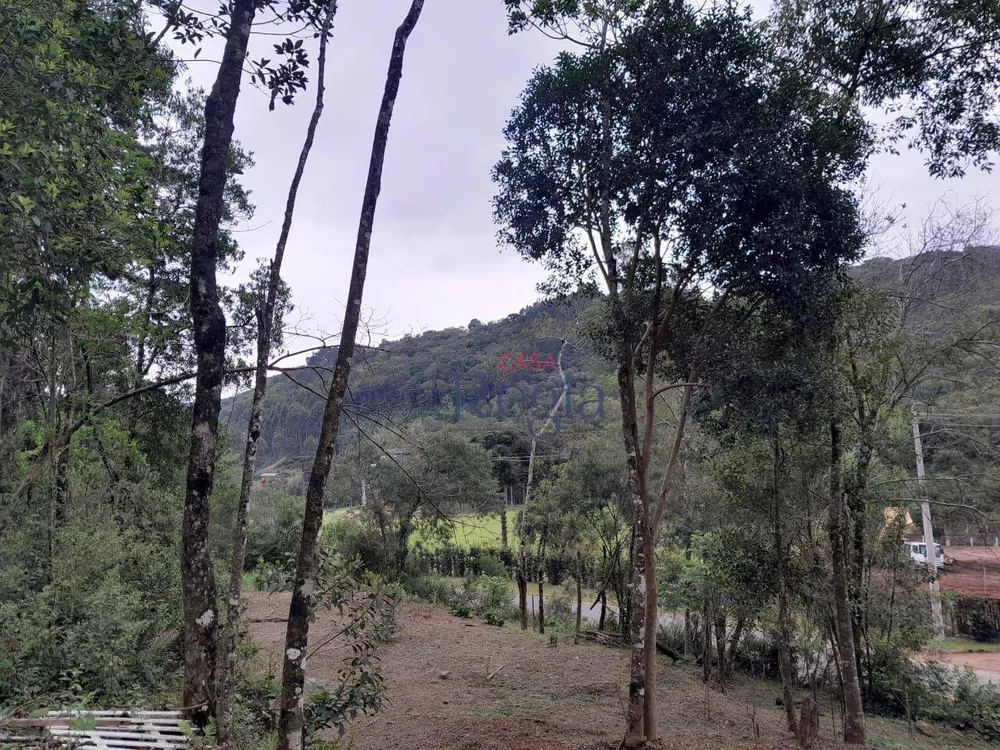 Terreno à venda, 70176M2 - Foto 7