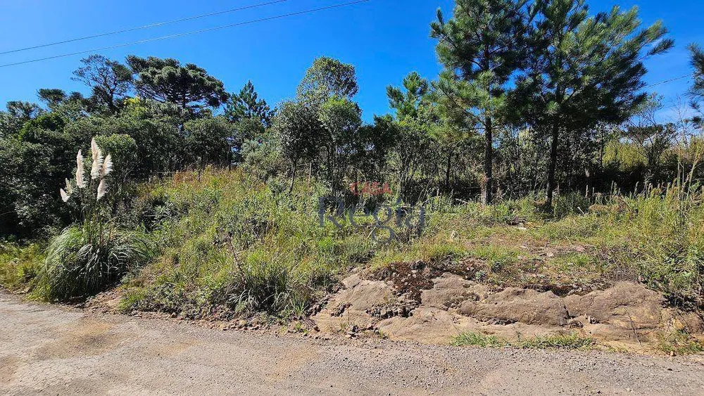 Terreno, 1698 m² - Foto 11