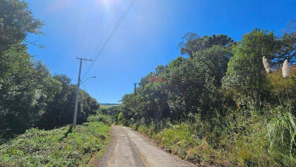 Terreno, 1698 m² - Foto 6