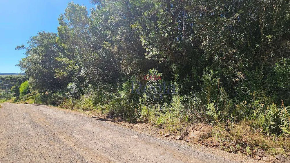 Terreno, 1698 m² - Foto 14