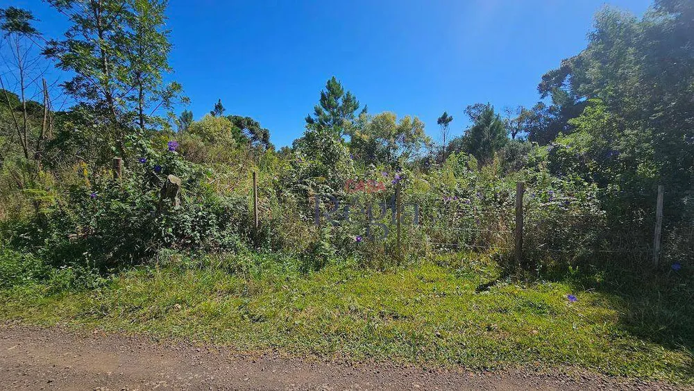 Terreno, 1698 m² - Foto 5