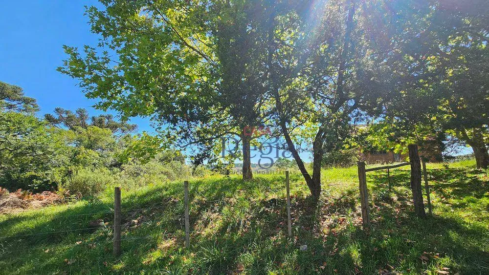 Terreno, 1698 m² - Foto 1
