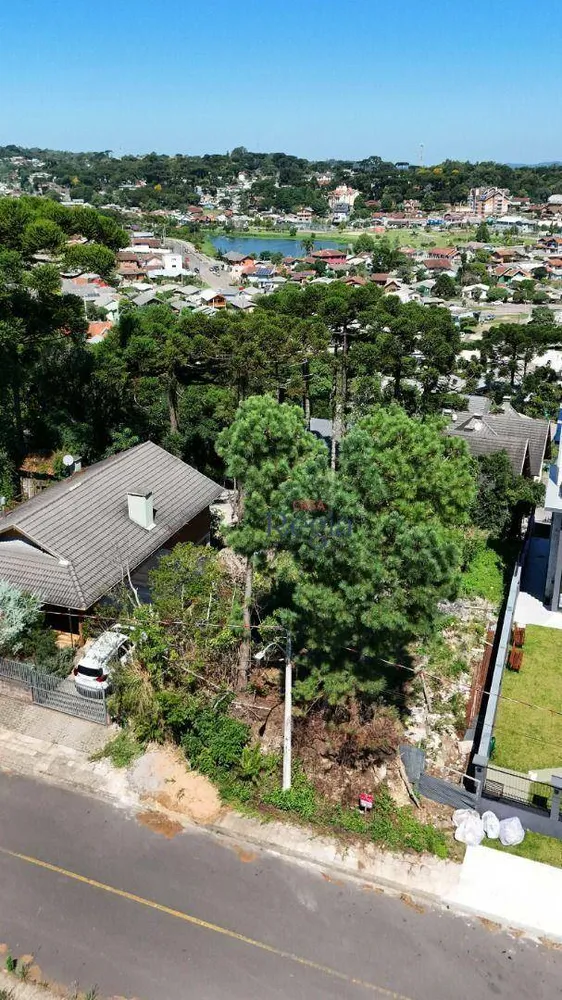 Terreno, 560 m² - Foto 3
