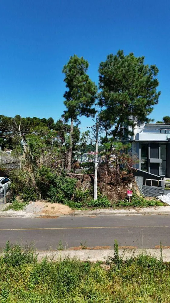 Terreno, 560 m² - Foto 7